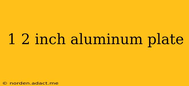 1 2 inch aluminum plate