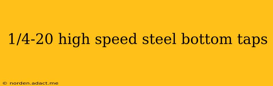1/4-20 high speed steel bottom taps