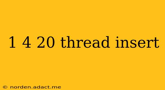 1 4 20 thread insert