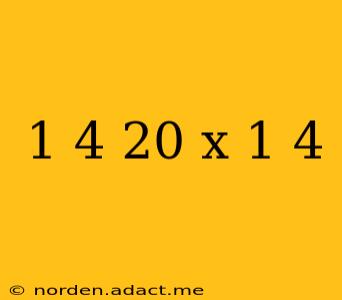 1 4 20 x 1 4