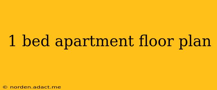 1 bed apartment floor plan