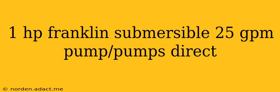 1 hp franklin submersible 25 gpm pump/pumps direct