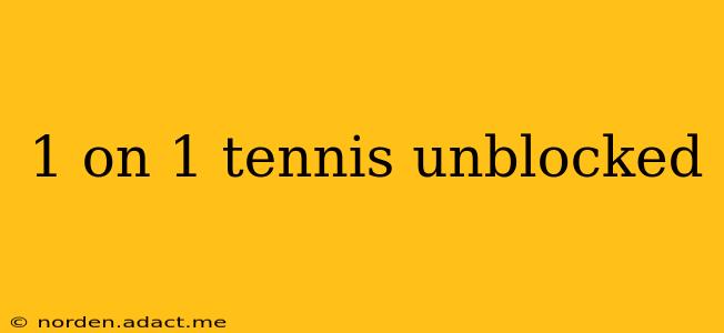 1 on 1 tennis unblocked