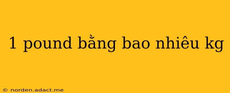 1 pound bằng bao nhiêu kg