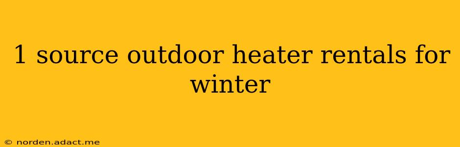 1 source outdoor heater rentals for winter