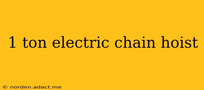 1 ton electric chain hoist