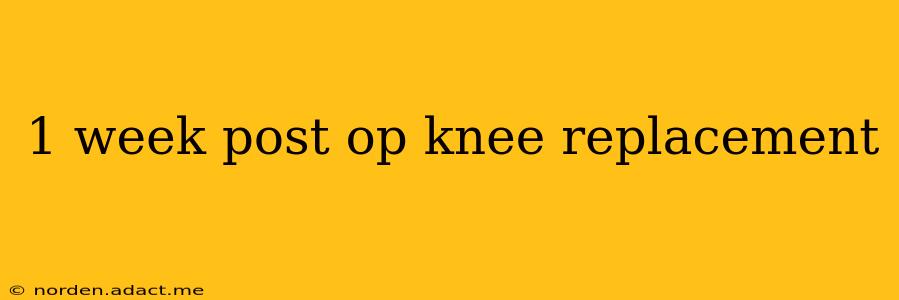 1 week post op knee replacement