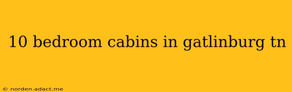 10 bedroom cabins in gatlinburg tn