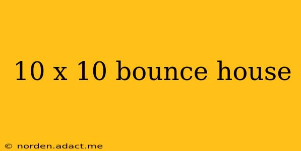 10 x 10 bounce house