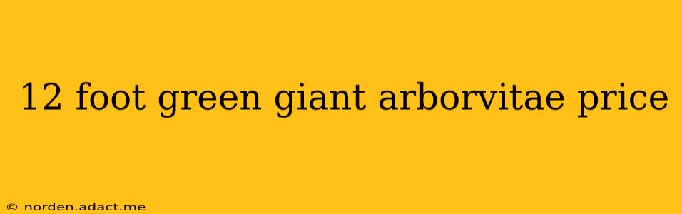12 foot green giant arborvitae price