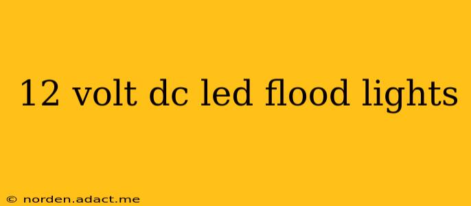 12 volt dc led flood lights