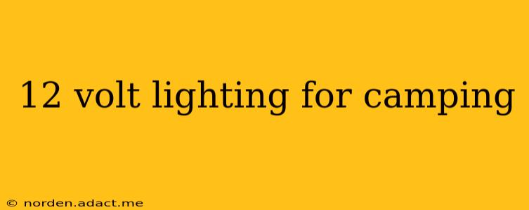 12 volt lighting for camping