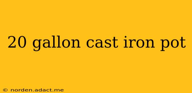 20 gallon cast iron pot