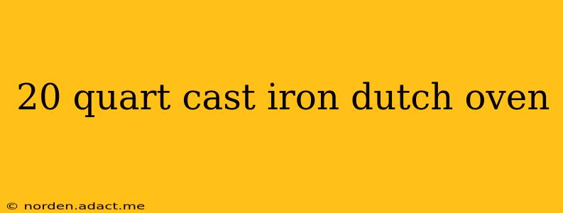 20 quart cast iron dutch oven