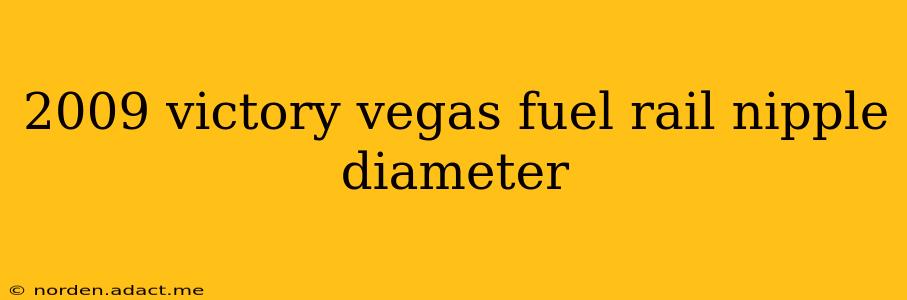 2009 victory vegas fuel rail nipple diameter