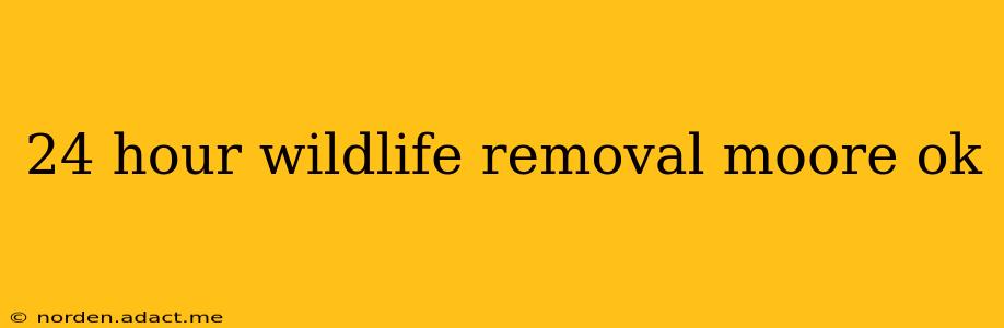 24 hour wildlife removal moore ok