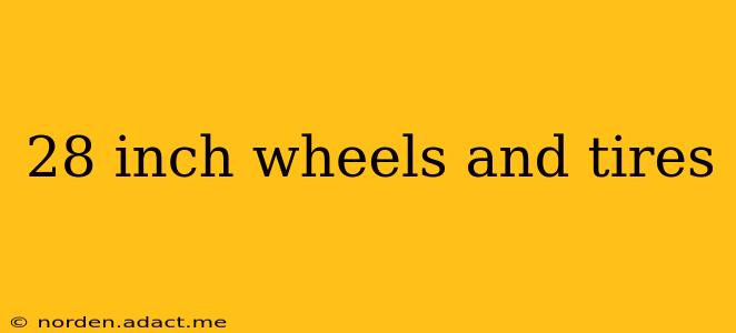 28 inch wheels and tires