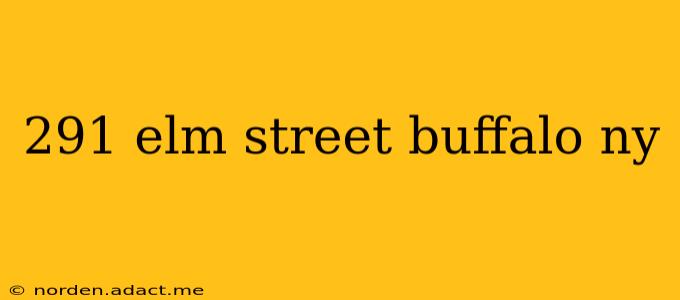 291 elm street buffalo ny