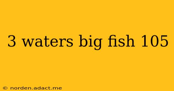 3 waters big fish 105