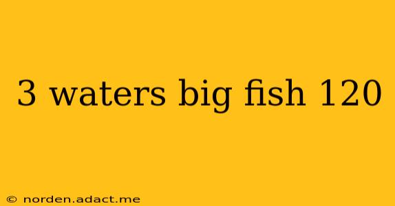 3 waters big fish 120