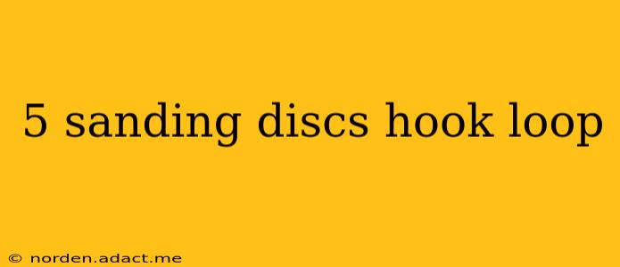 5 sanding discs hook loop