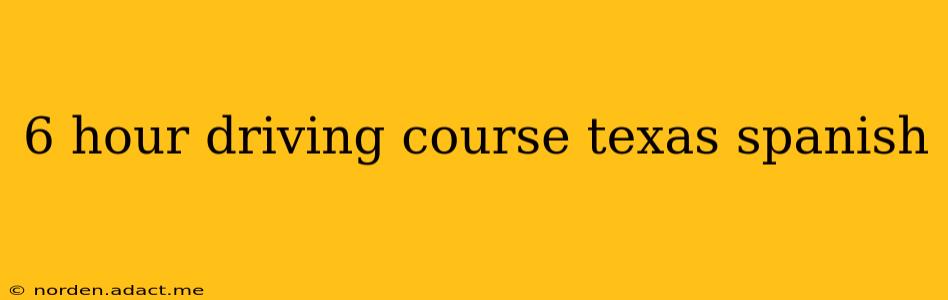6 hour driving course texas spanish