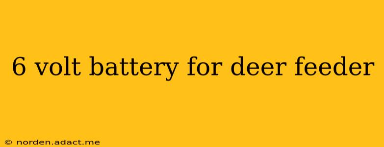 6 volt battery for deer feeder