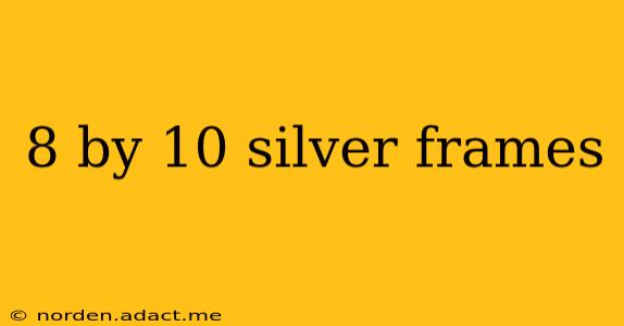 8 by 10 silver frames