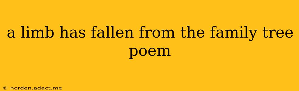 a limb has fallen from the family tree poem