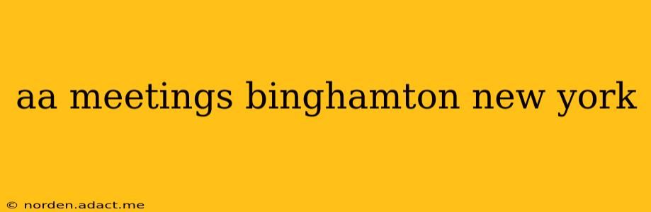 aa meetings binghamton new york