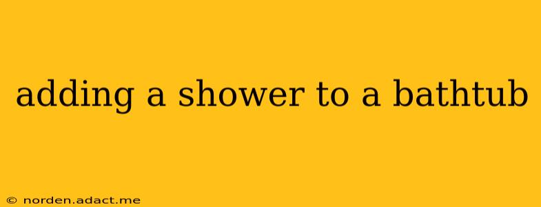 adding a shower to a bathtub