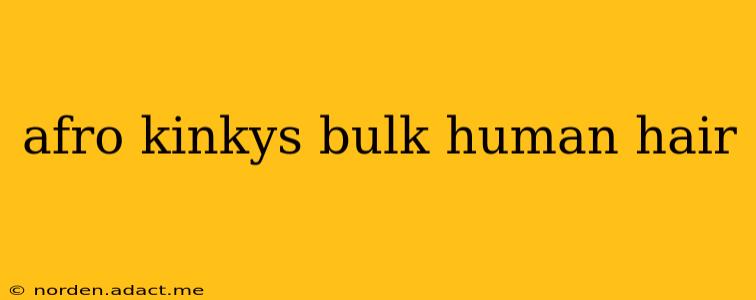 afro kinkys bulk human hair