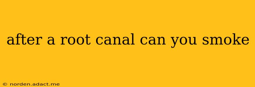 after a root canal can you smoke