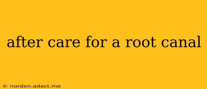 after care for a root canal