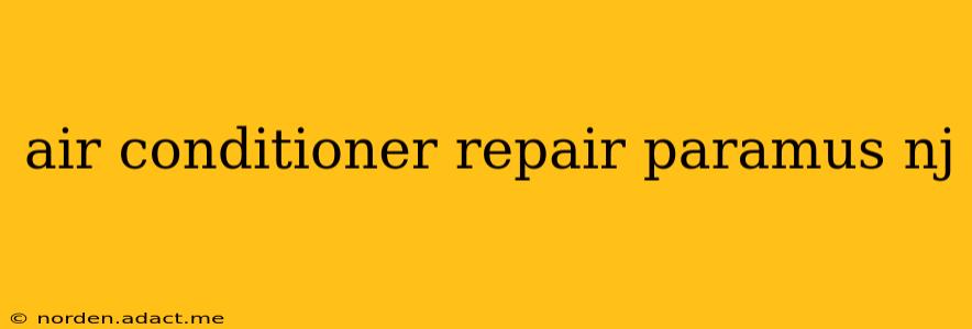air conditioner repair paramus nj