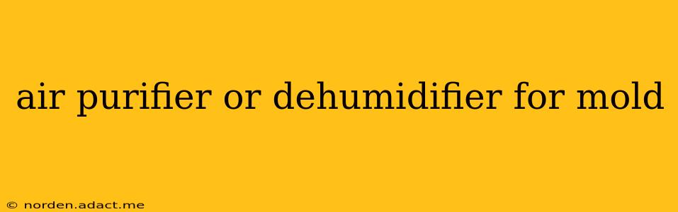 air purifier or dehumidifier for mold