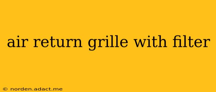 air return grille with filter