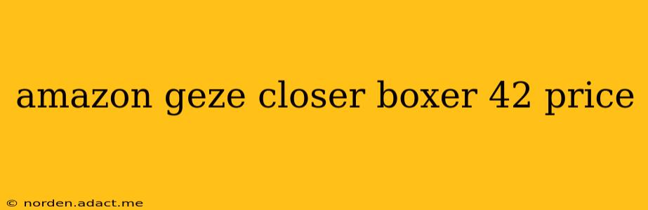 amazon geze closer boxer 42 price