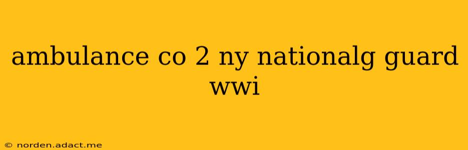 ambulance co 2 ny nationalg guard wwi