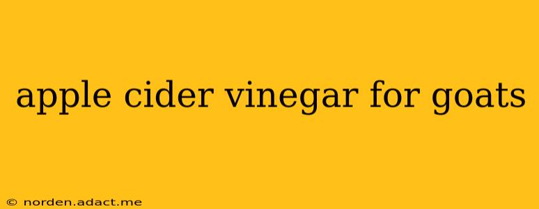 apple cider vinegar for goats