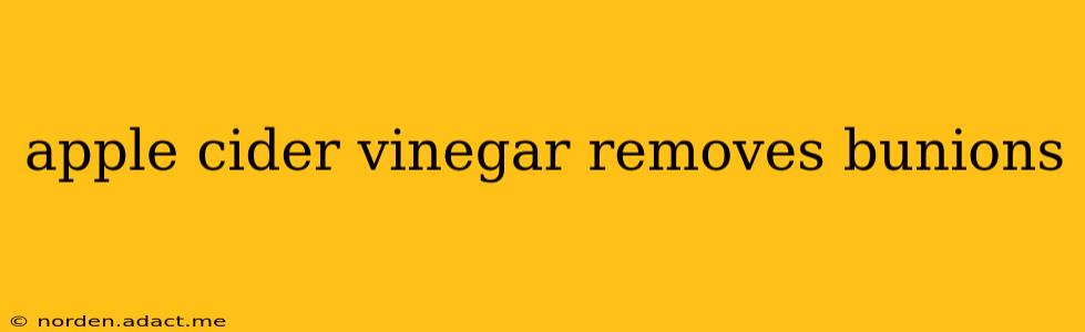 apple cider vinegar removes bunions