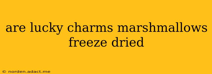 are lucky charms marshmallows freeze dried