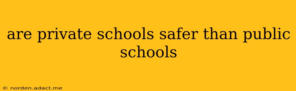 are private schools safer than public schools