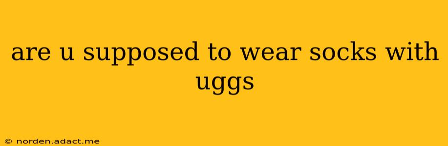 are u supposed to wear socks with uggs