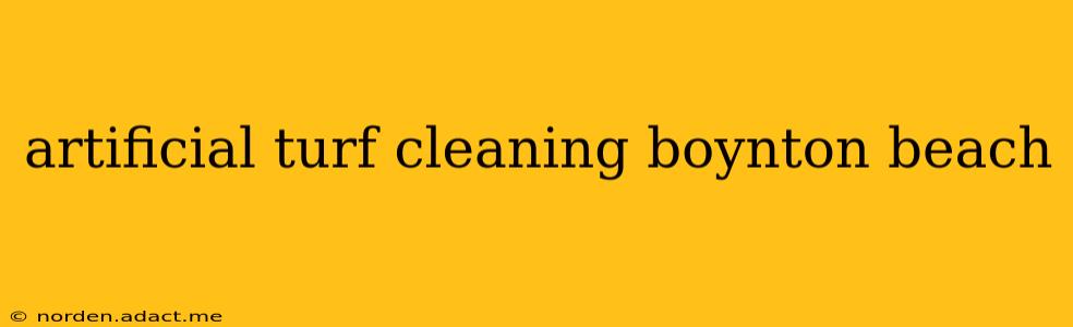 artificial turf cleaning boynton beach