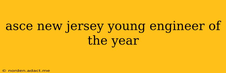 asce new jersey young engineer of the year