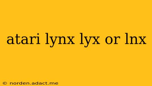 atari lynx lyx or lnx