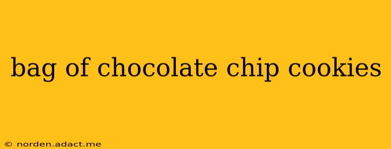bag of chocolate chip cookies