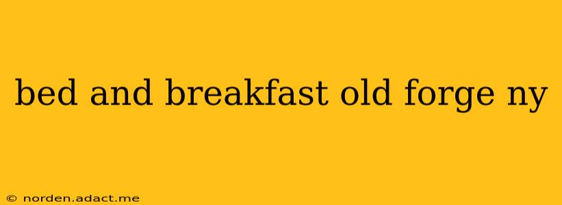 bed and breakfast old forge ny