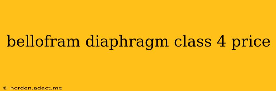 bellofram diaphragm class 4 price